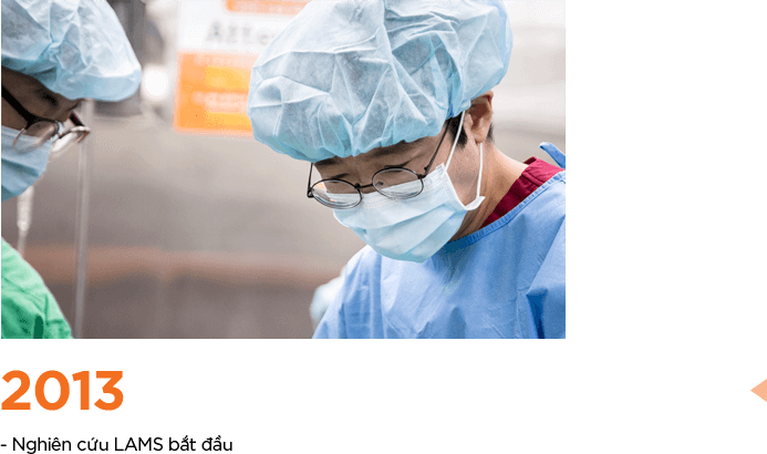 Lịch sử LAMS 2013